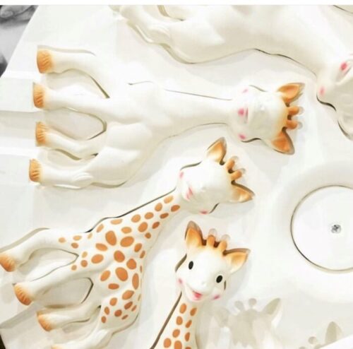 What To Do About The Sophie La Girafe Mold Problem